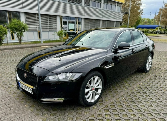 Jaguar XF cena 159900 przebieg: 39500, rok produkcji 2020 z Częstochowa małe 667